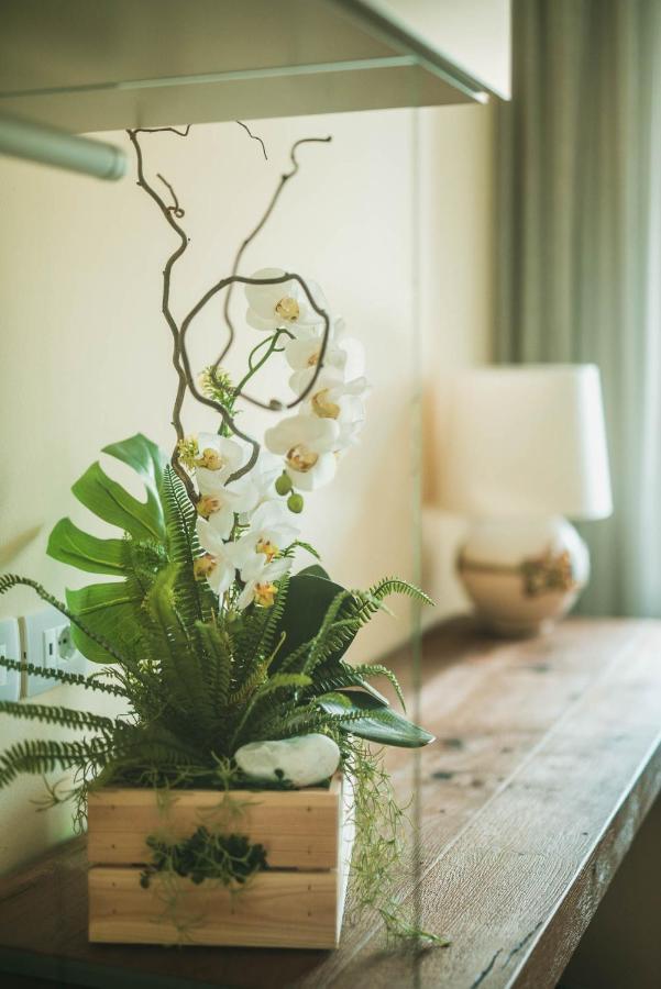 Campo San Martino Little House B&B 외부 사진